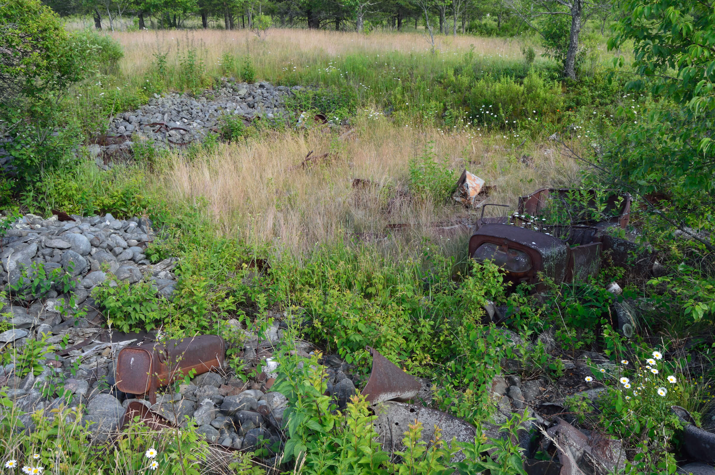 A rusted piece of machinery lies among rocks and tall grass.