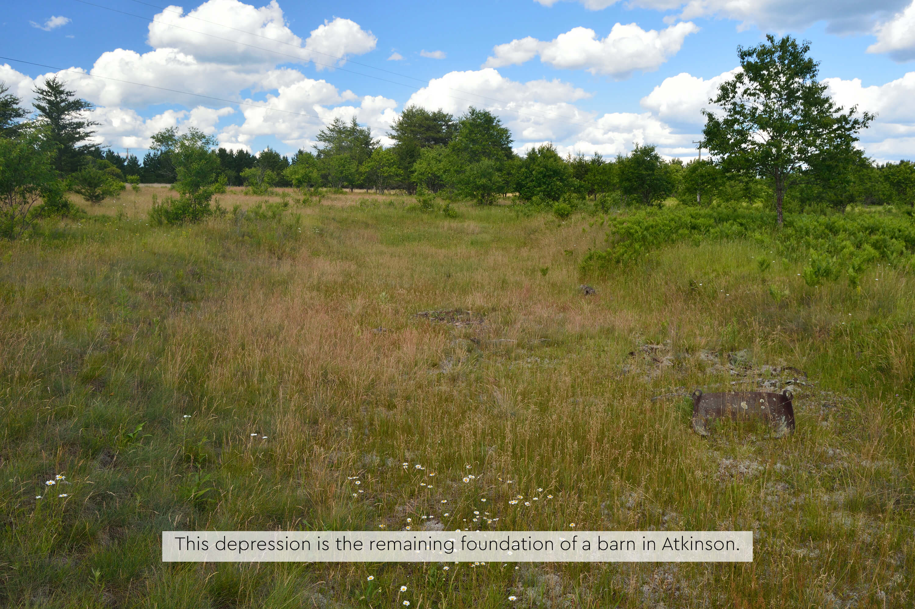 A grassy field with a shallow depression, surrounded by brush under.