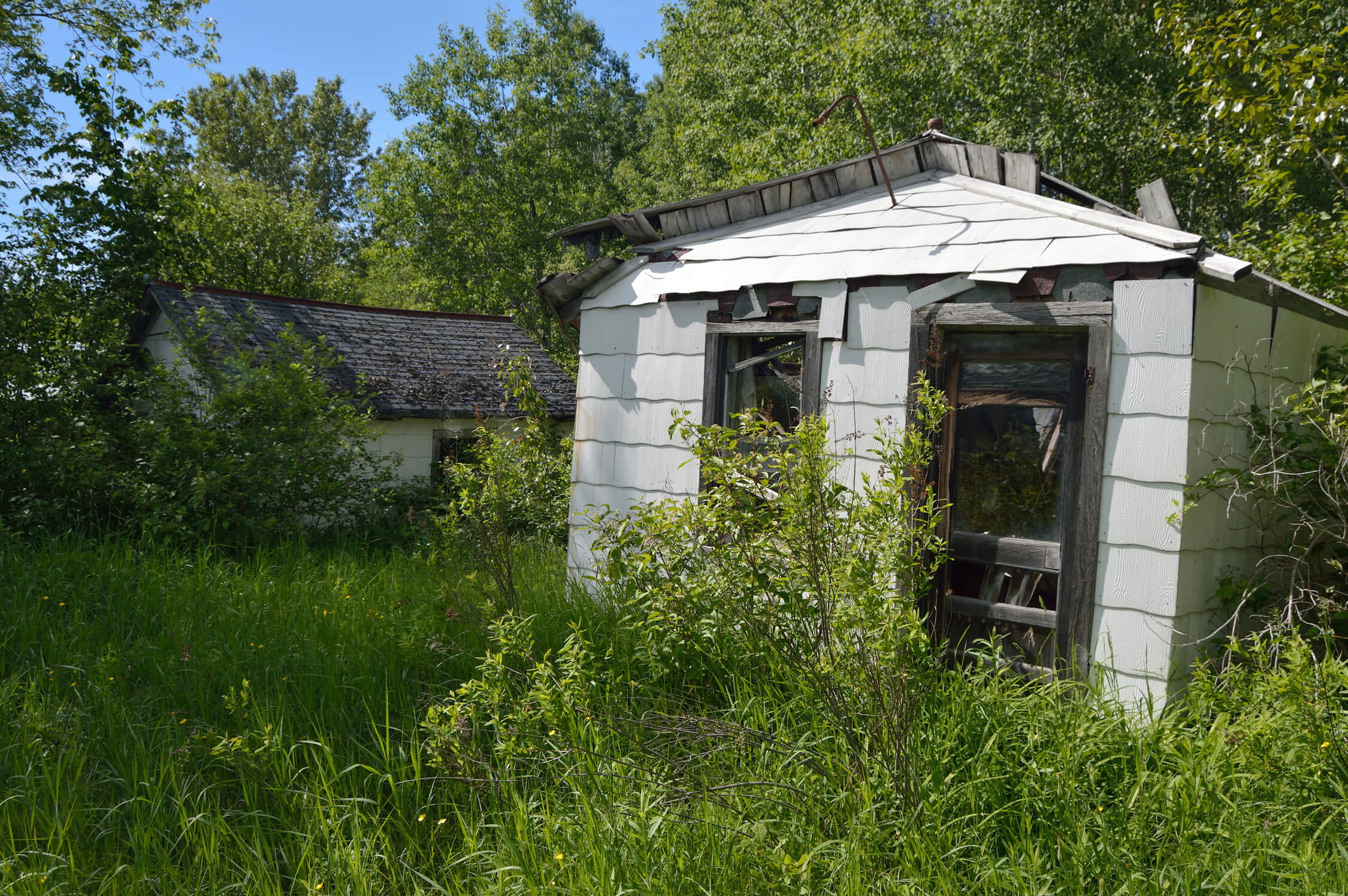 Abandoned building in the former Dollarville, surrounded by overgrown vegetation.