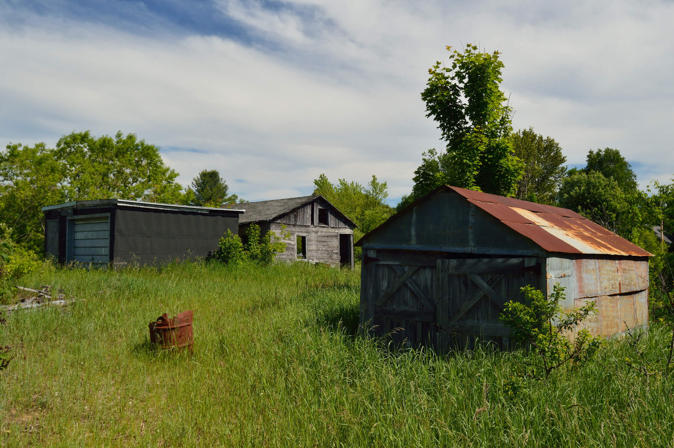Two abandoned sheds in Dollarville, overgrown with vegetation.