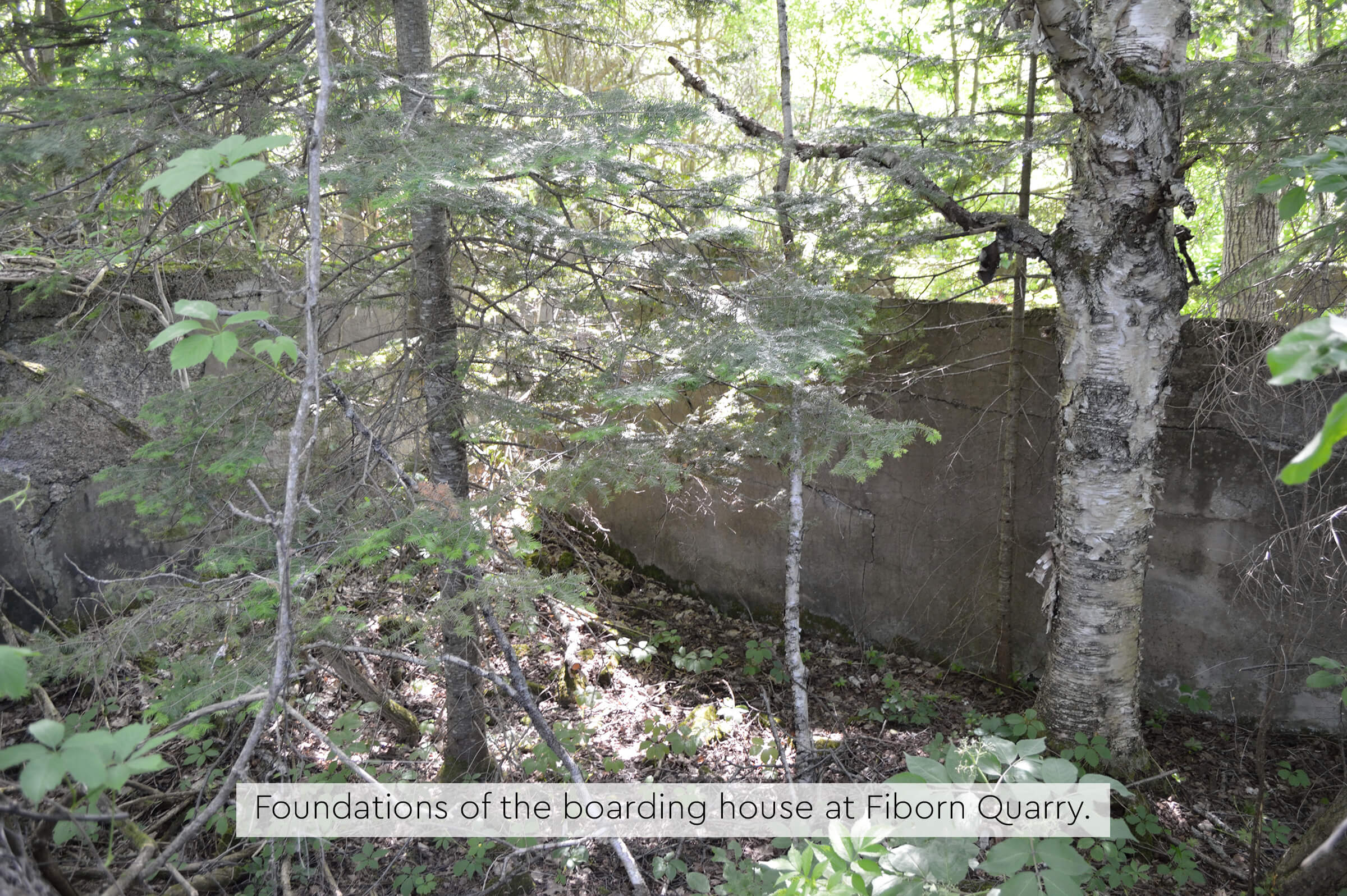 Concrete boarding house foundations surrounded by trees at Fiborn Quarry.