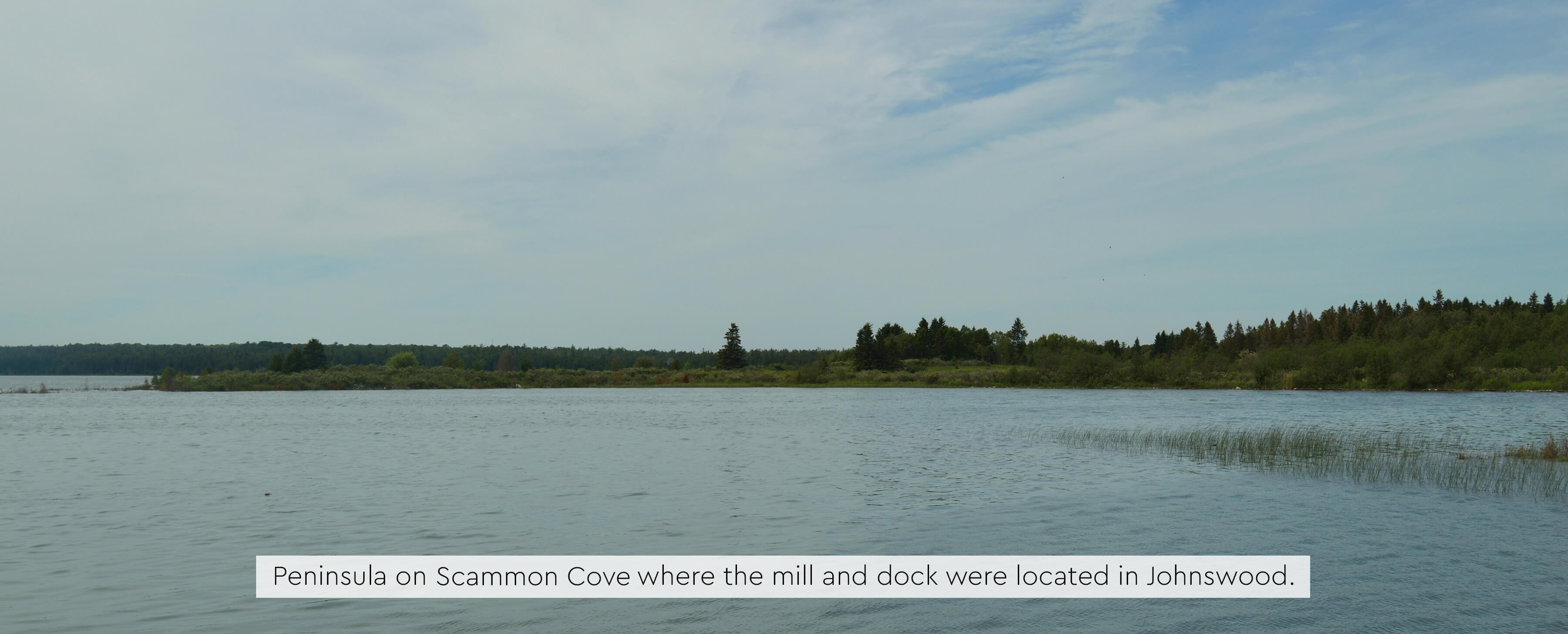 Peninsula on Scammon Cove with forested land and calm waters.