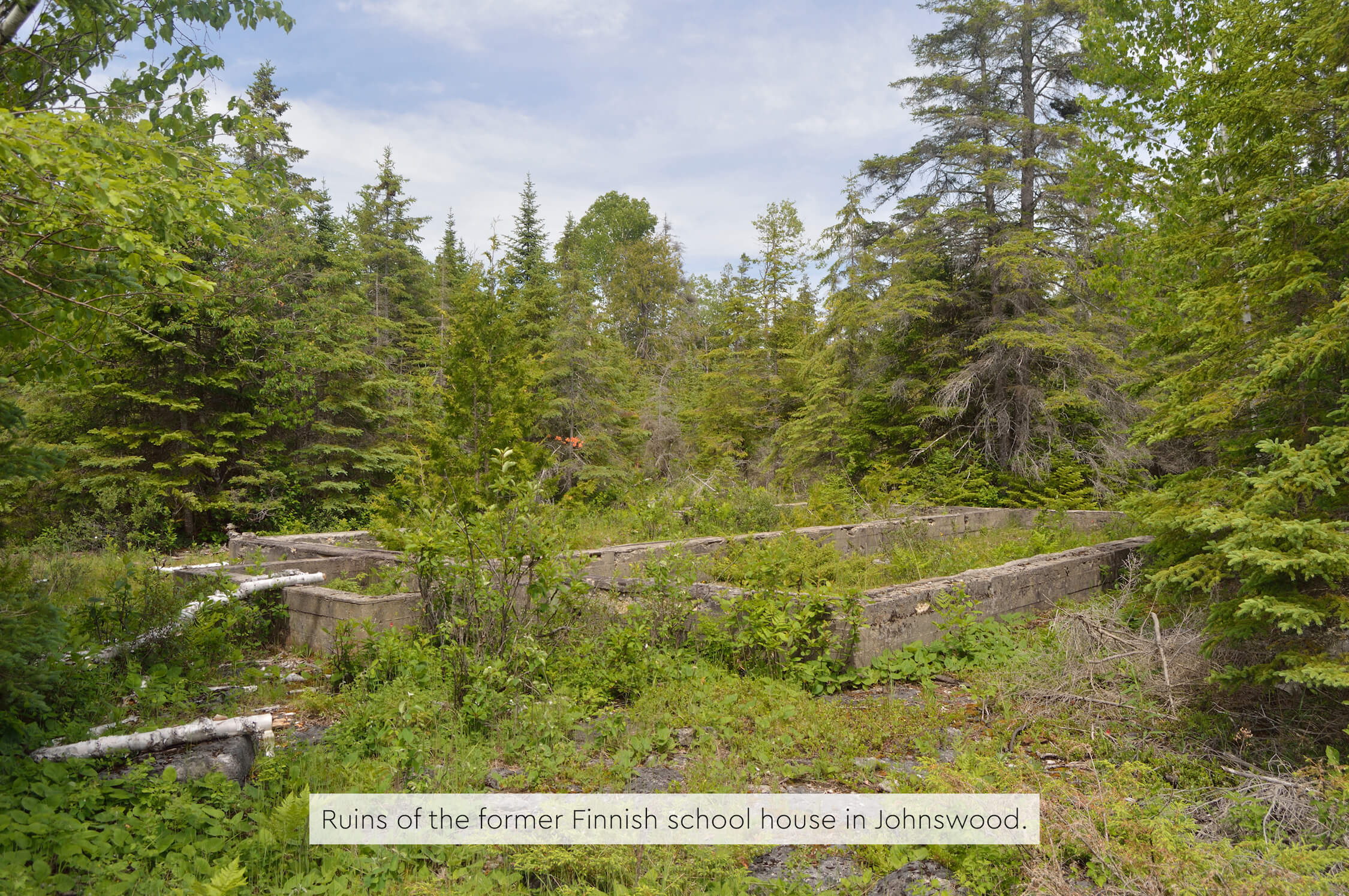 Ruins of the Finnish school house in a forest clearing.