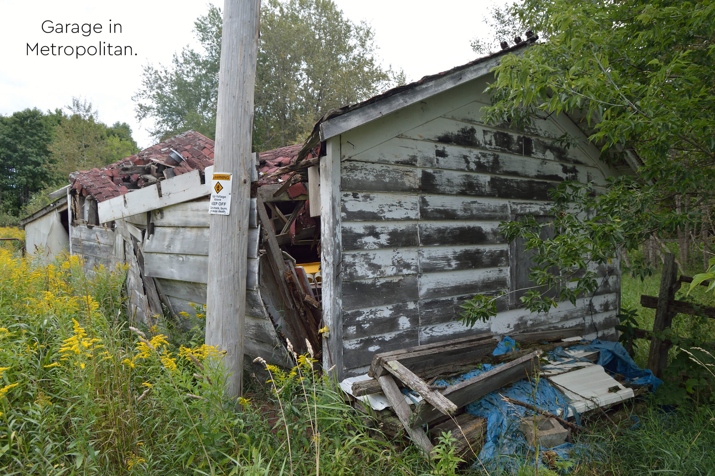 Dilapidated garage in Metropolitan surrounded by overgrowth.