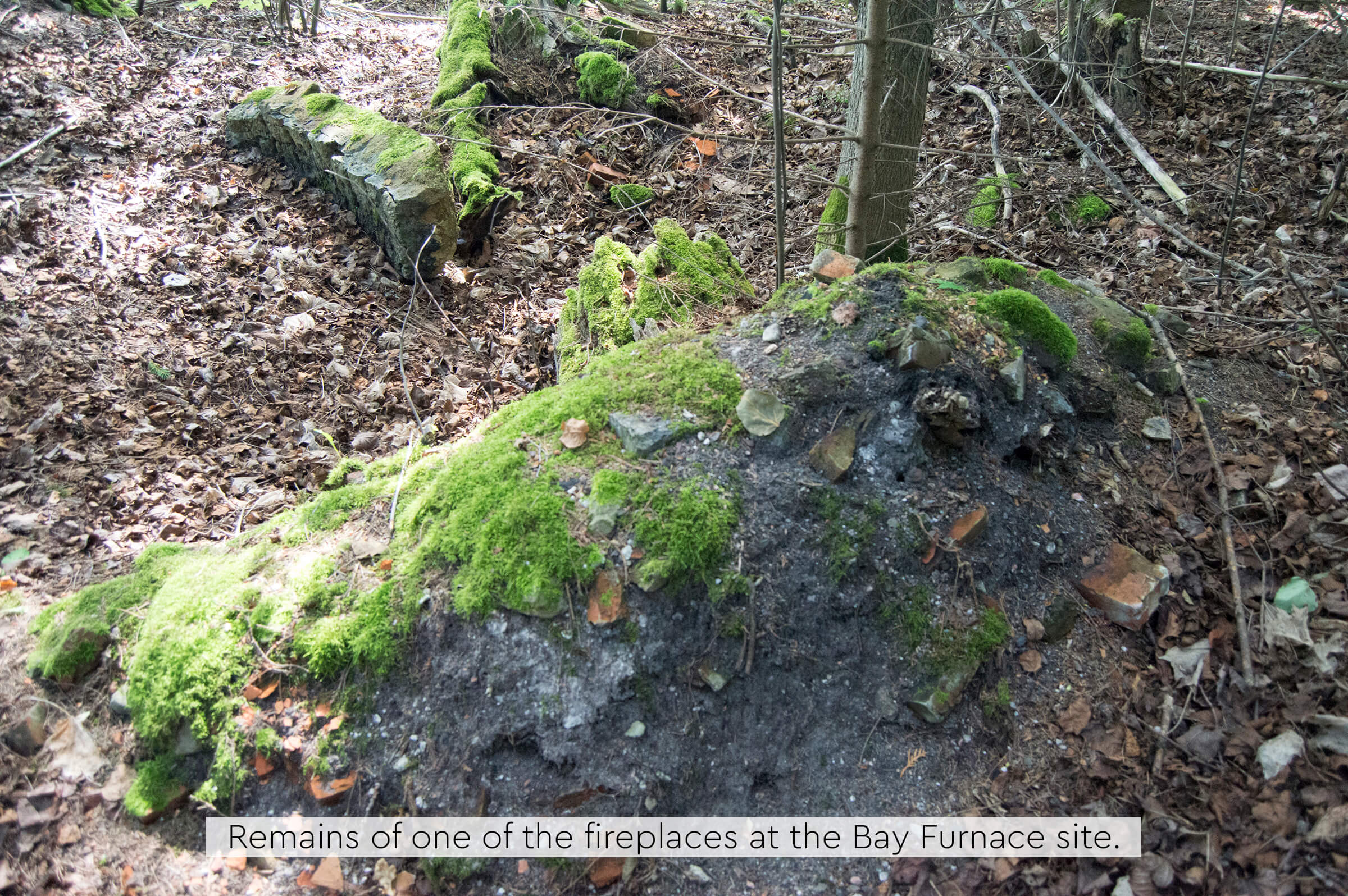 Moss-covered remains of a fireplace in the forest.