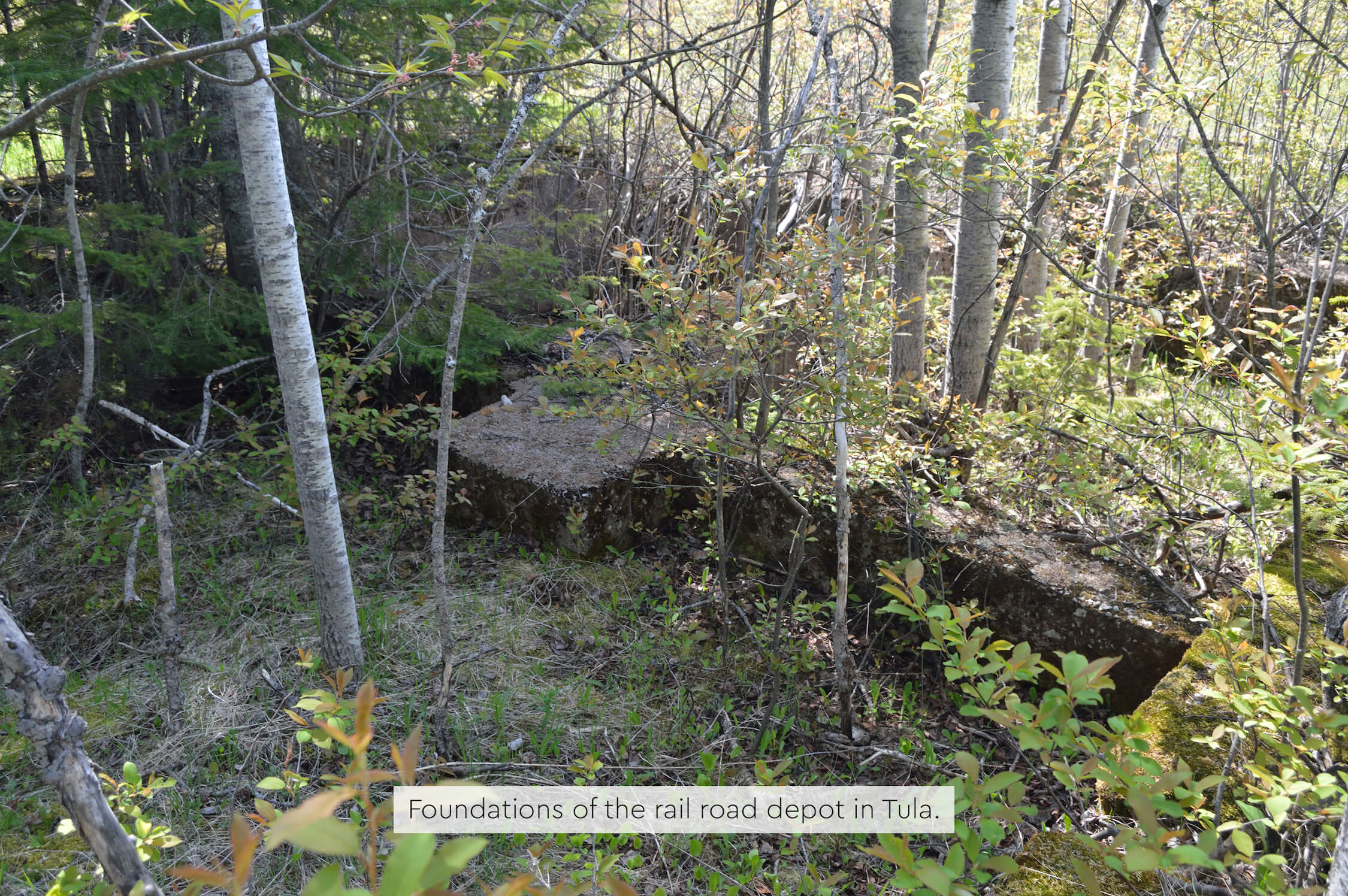 Overgrown foundations of the former railroad depot in Tula, Michigan.