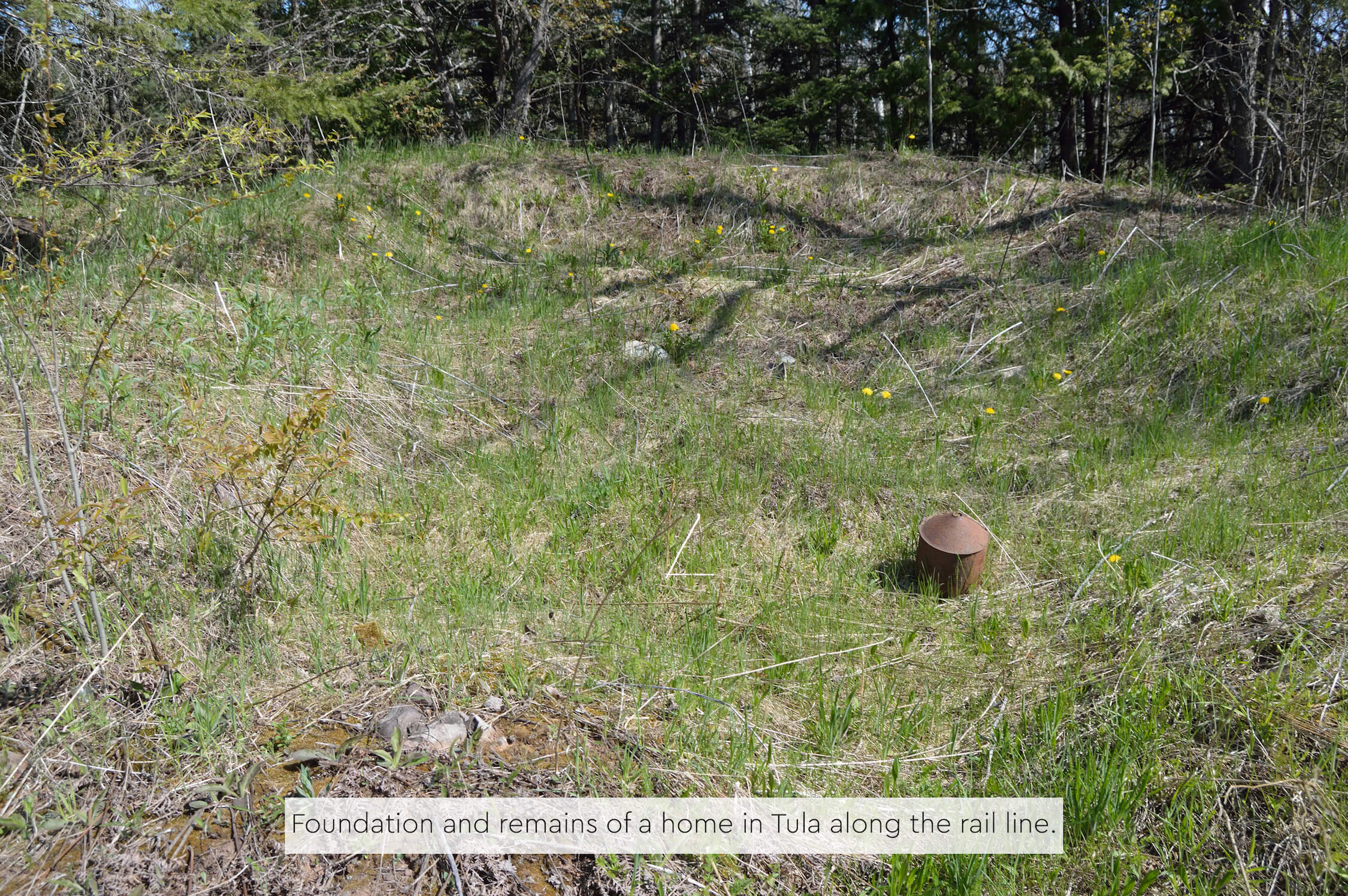 Overgrown foundation of a former home in Tula, Michigan, near the rail line.