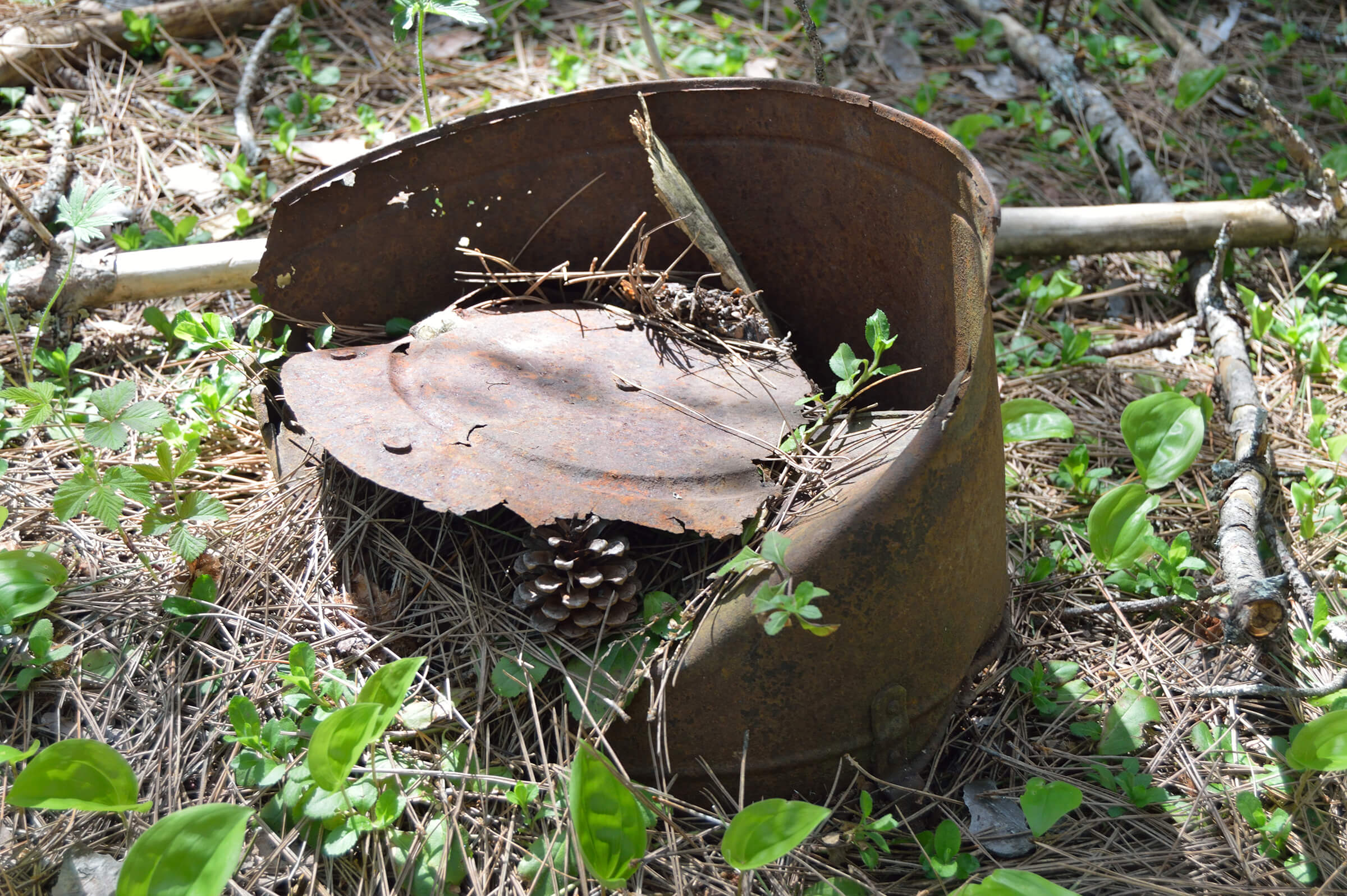 Rusted metal container with a broken lid, partially buried in forest debris in Tula, Michigan.