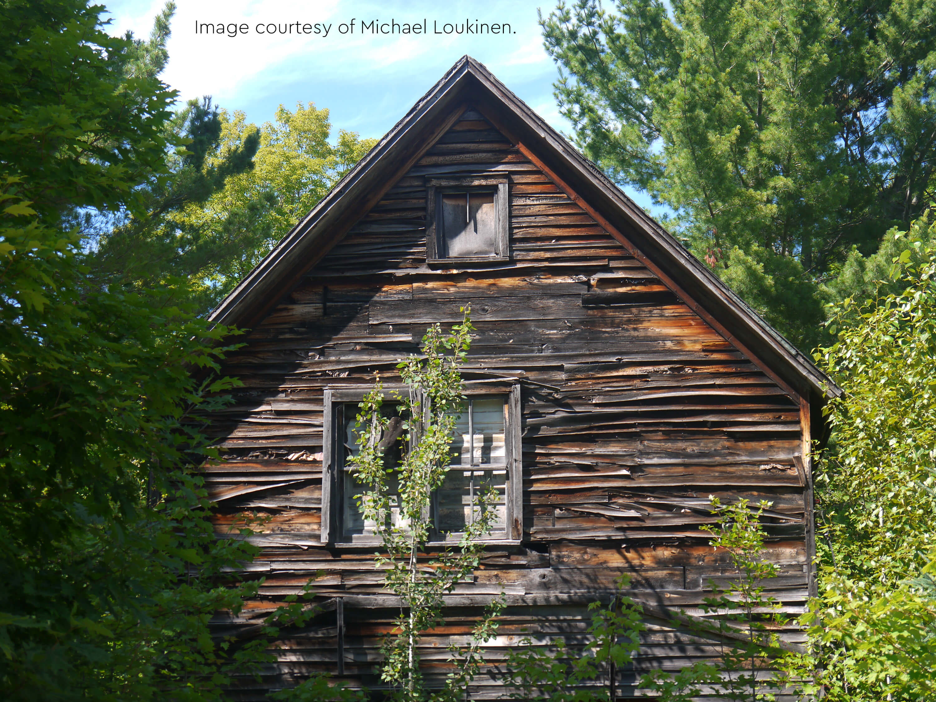 An old wooden house with warped siding, partially hidden by overgrown foliage.