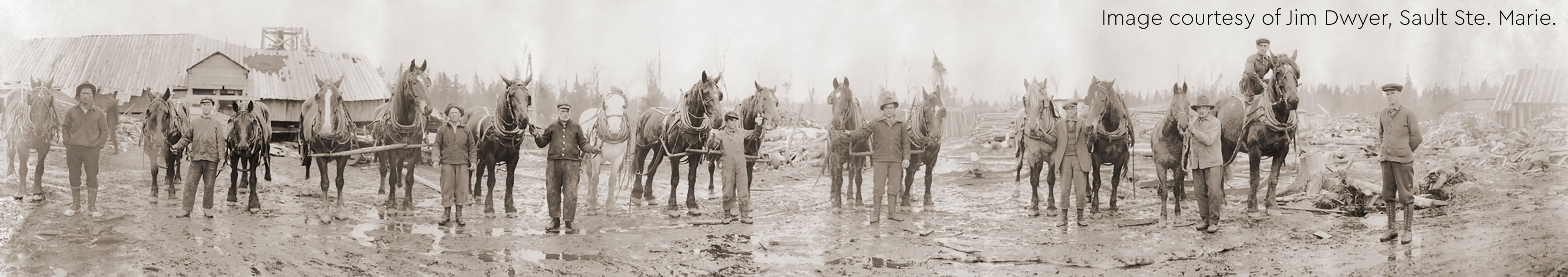Historical photo of workers with horses at Dollarville sawmill, circa 1900.