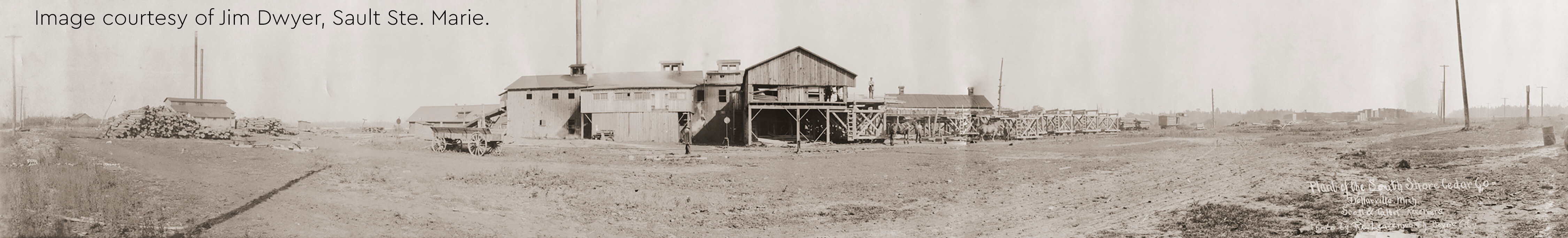 Panoramic historical photo of Dollarville sawmill, circa 1900.