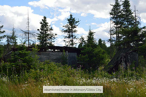 Abandoned wooden structure surrounded by overgrown brush under a partly cloudy sky.