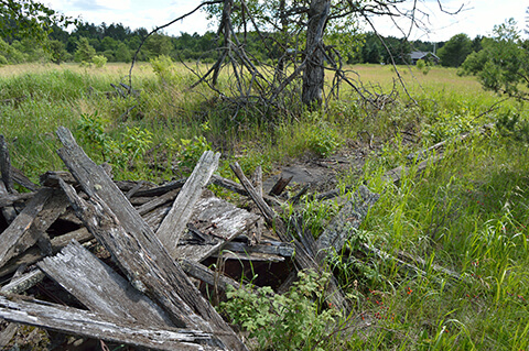 A pile of decaying wooden beams and planks lies in a grassy, overgrown field with scattered trees.