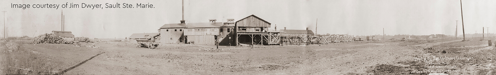 Panoramic historical photo of Dollarville sawmill, circa 1900.