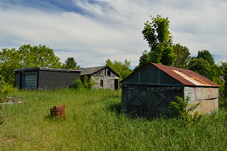 Two abandoned sheds in Dollarville, overgrown with vegetation.