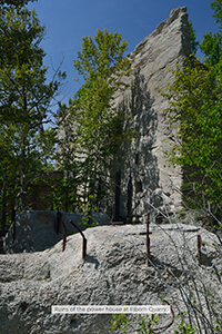 Ruins of the power house with exposed concrete and overgrown vegetation.