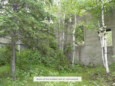 Ruins of the Johnswood lumber mill surrounded by birch and evergreen trees.