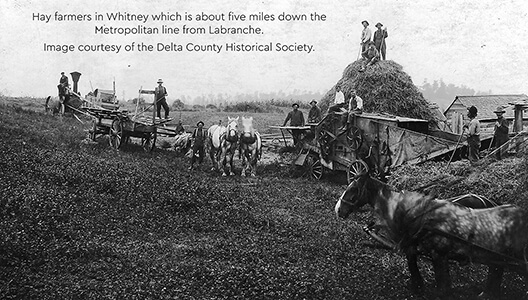 Hay farmers working near Labranche in the early 20th century.