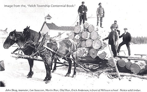 Historic timber haul near Milltown school with teamsters and horses.