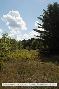 Grassy field with trees under blue sky.