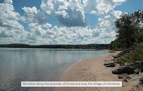 Shoreline with sandy beach and steps near trees.