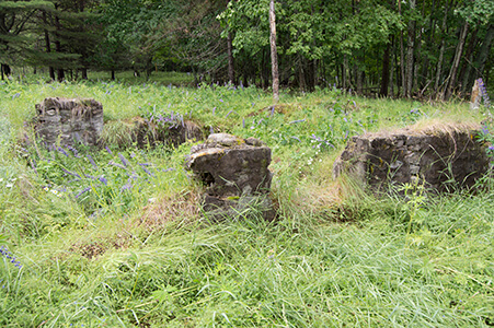 Old foundations stones overgrown in a field.