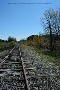 Abandoned railway tracks running through a wooded area in Tula, Michigan.