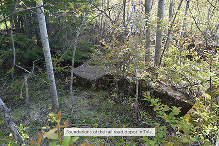 Overgrown foundations of the former railroad depot in Tula, Michigan.