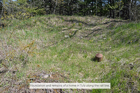 Overgrown foundation of a former home in Tula, Michigan, near the rail line.
