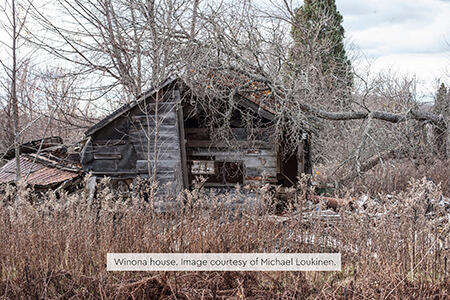 An abandoned log house with a fallen tree across its roof, surrounded by overgrown brush.
